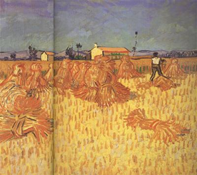 Vincent Van Gogh Harvest in Provence (nn04)